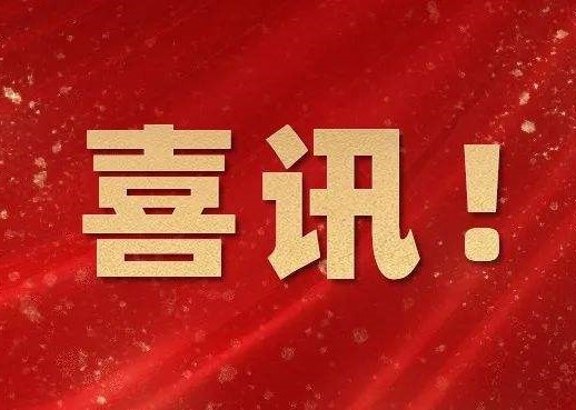 喜讯——“桩把头”在延津乡村振兴教育城项目中的应用效果显著