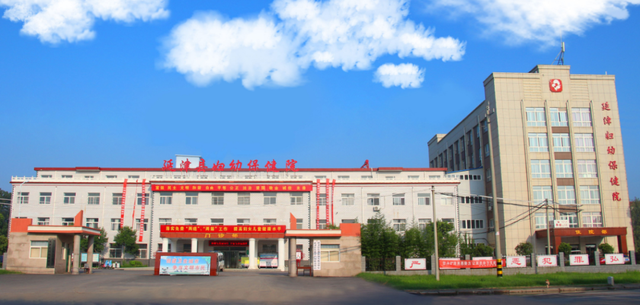 空桩4.8米—8.3米 “桩把头”在延津妇幼保健院整体搬迁项目 桩基施工中成功应用